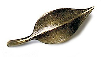 Leaf Brass Knob in Light Antique Brass